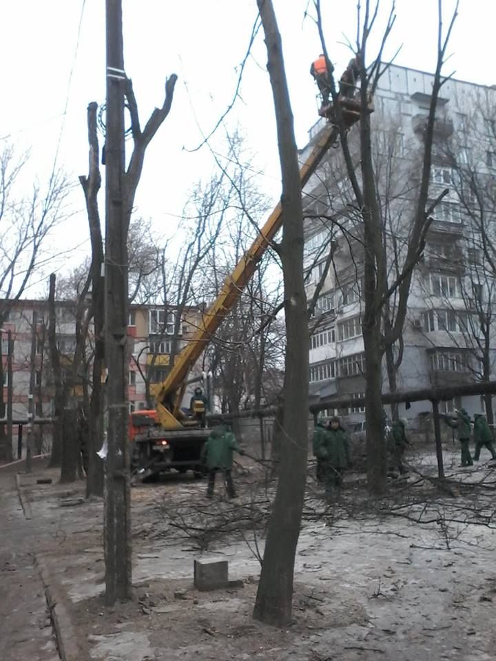 12744012_503684843151232_2513994304384730780_n