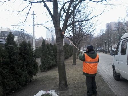 12321407_511280699058313_3139960160020292757_n