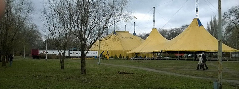 Цирк «Кобзов» ответил на претензии зоозащитников и экологов