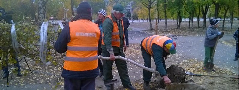Уволили директора КП «Горзеленстрой»: кто будет пилить и сажать деревья Днепропетровска?