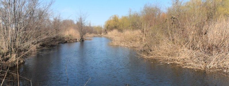 У Днепропетровска украли Кирилловский парк?