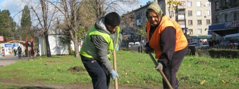 Сколько Днепропетровск потратил на озеленение
