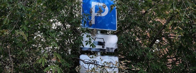 Кто виноват, что водители не видят знаков за листвой?