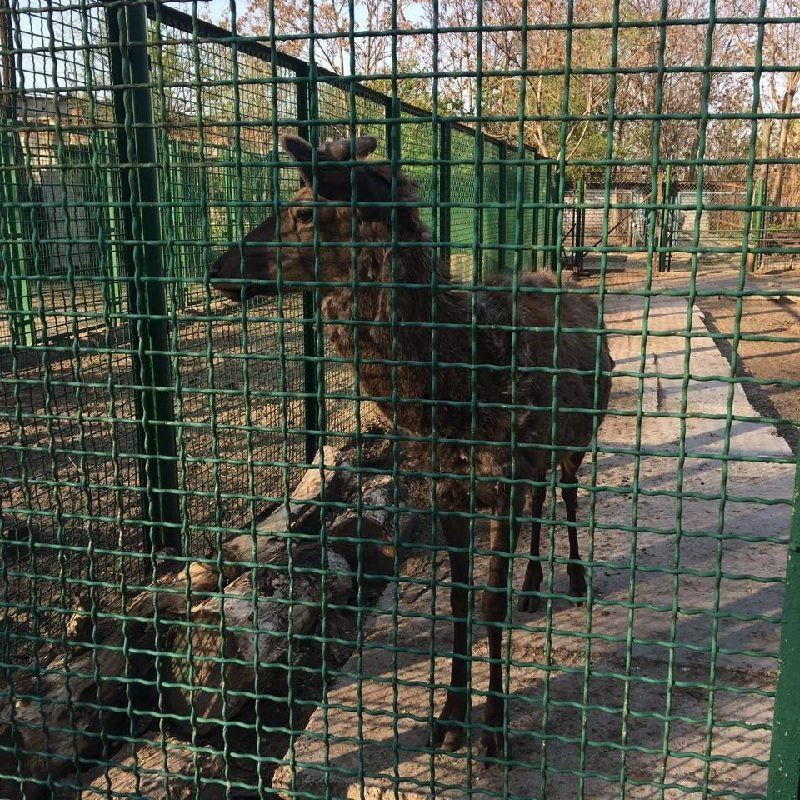 zoopark-dnepropetrovsk