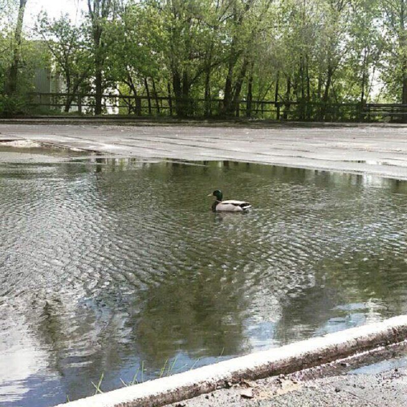 dnepropetrovsk