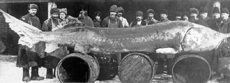 днепр может погибнуть