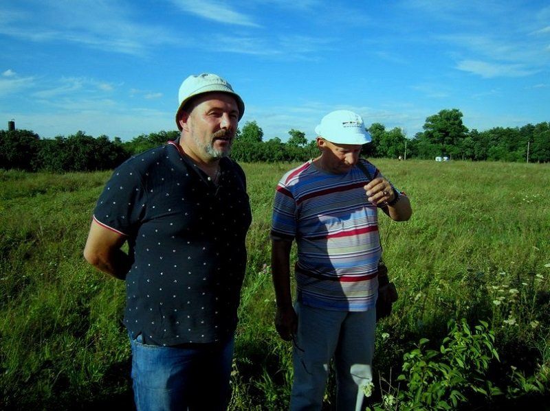 береза_авдеенко