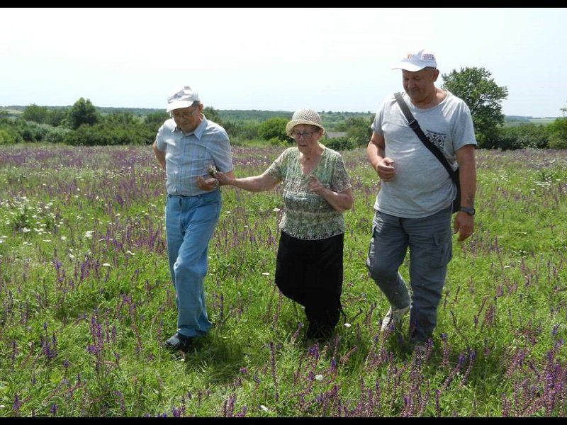ковалева_авдеенко