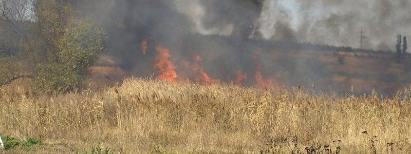 Пожар в степи: что делать?