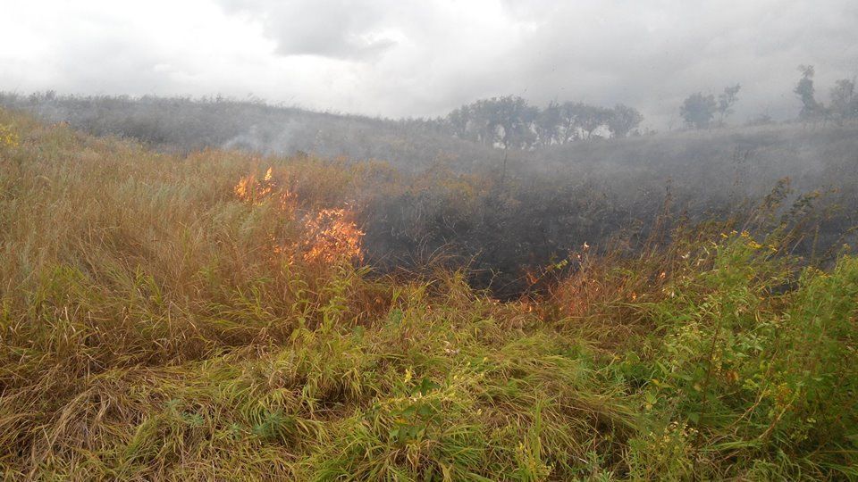 13769388_1184259688261062_6681346896836523811_n (1)