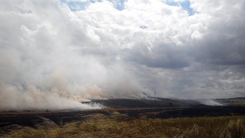 13726798_1184259778261053_6294916366993905477_n