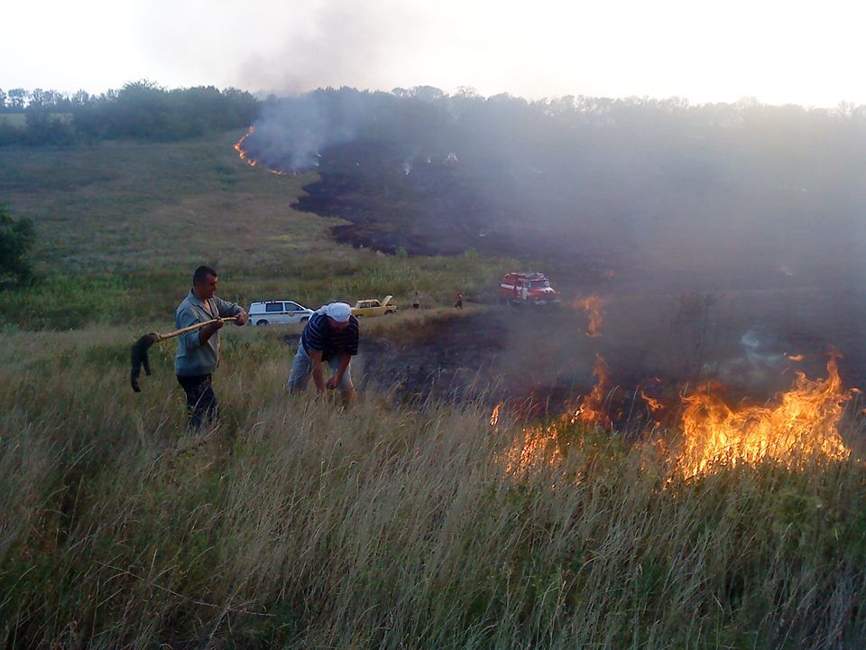 13697135_1184886514865046_5594707756053624636_n (1)