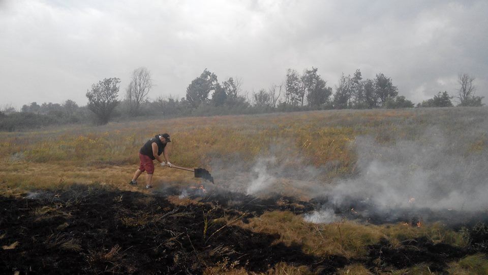 13770432_1184259604927737_4112752655846226812_n