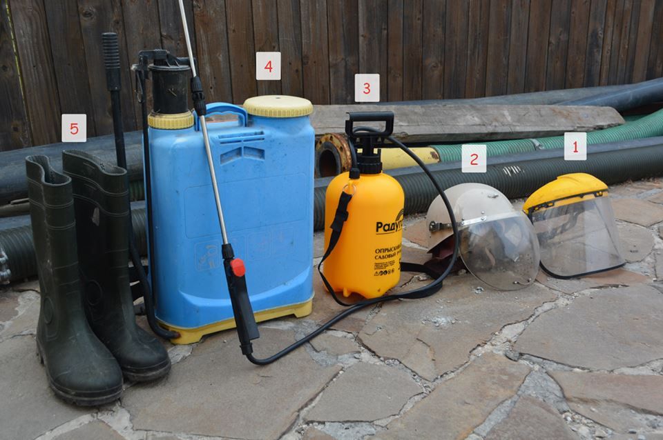 13718522_1184885678198463_436935701638099096_n