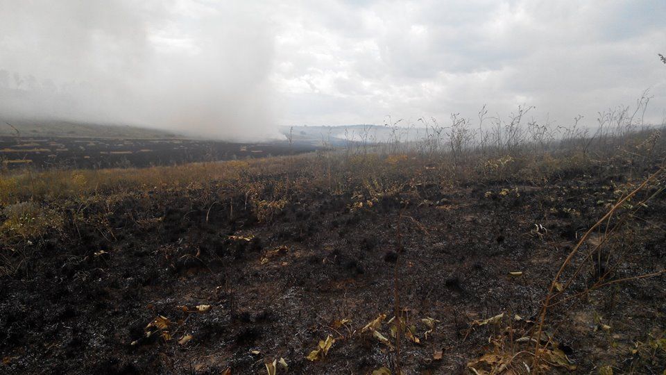 13775493_1184259684927729_6220261199546623462_n