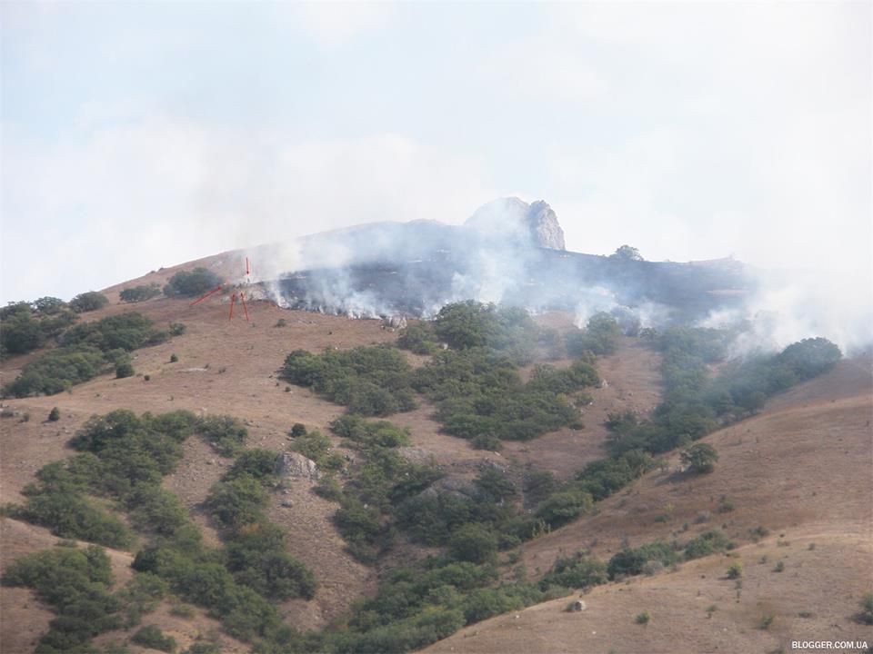 13686639_1184977814855916_1152701964581440651_n