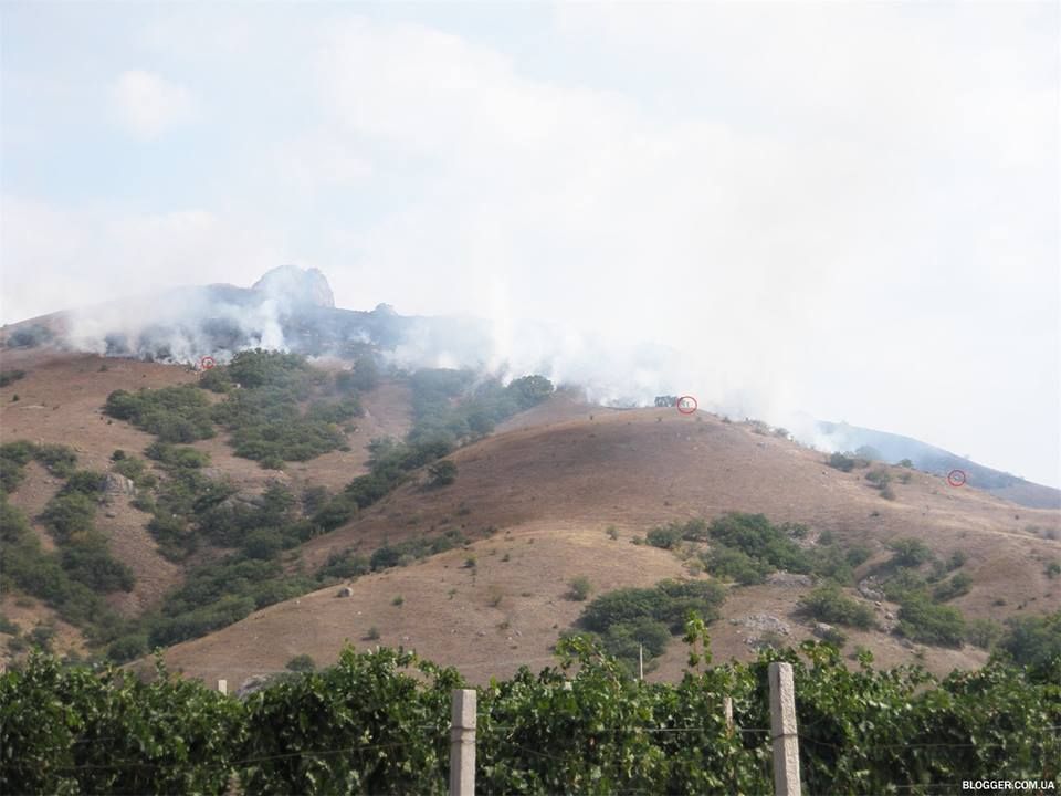 13709980_1184977811522583_1475807472105605406_n