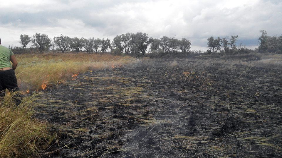 13781998_1184259774927720_5543850746095633716_n