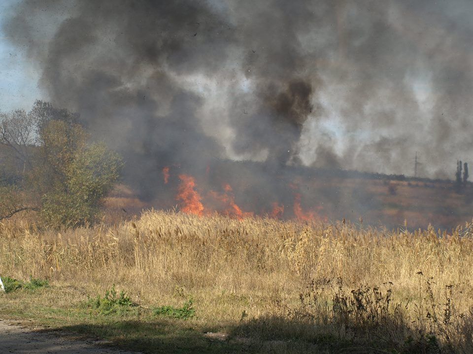 13726758_1184886401531724_1889437809037095171_n