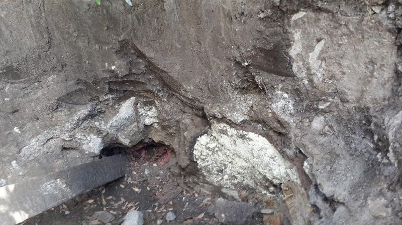 ядохимикаты-1