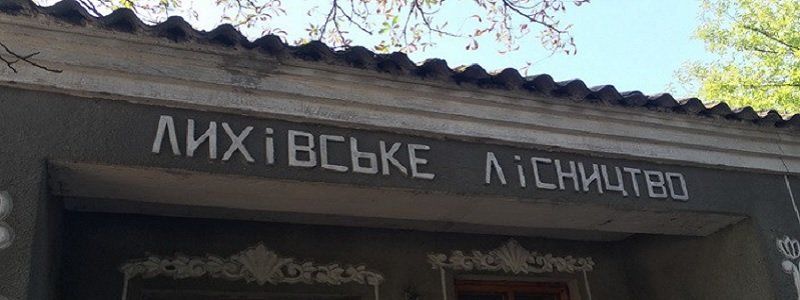 СБУшники поймали банду лесников в Пятихатском районе