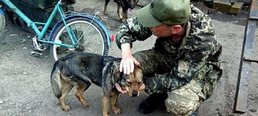 Кубок Верности в Днепре: участников ждут новые номинации