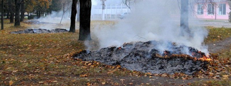 В Днепре раздадут пакеты для утилизации листьев и оштрафуют за их сжигание
