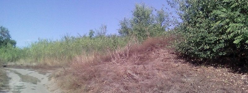 В Днепре откроют Дом Мазепы
