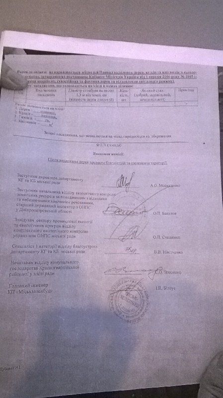 foto-derev-ya-v-material