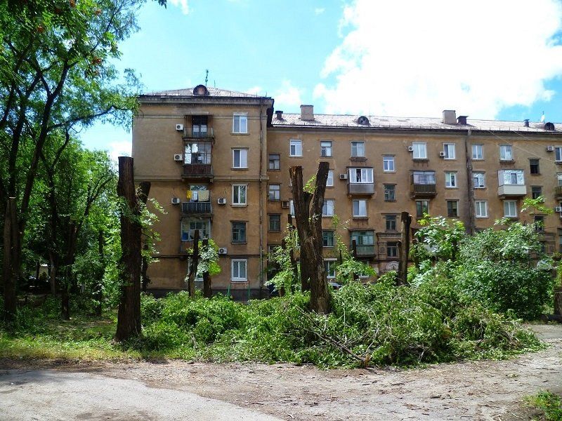 zeleny-e-nasazhdeniya