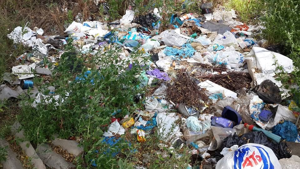 14479522_692097564276460_4121258787555247375_n