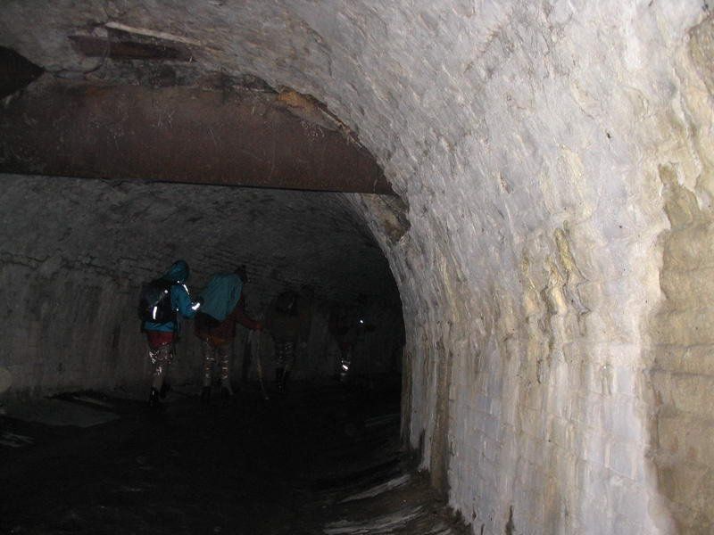 kollektory
