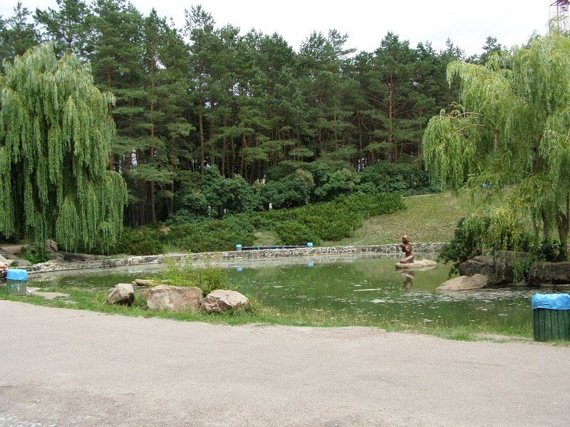 park-sosnovy-j-bor
