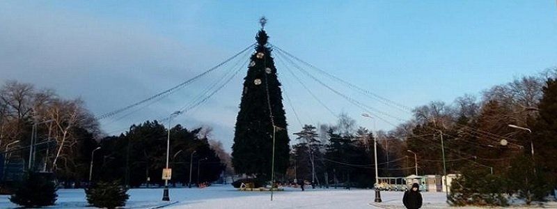 Новогоднее чудо в парке Глобы