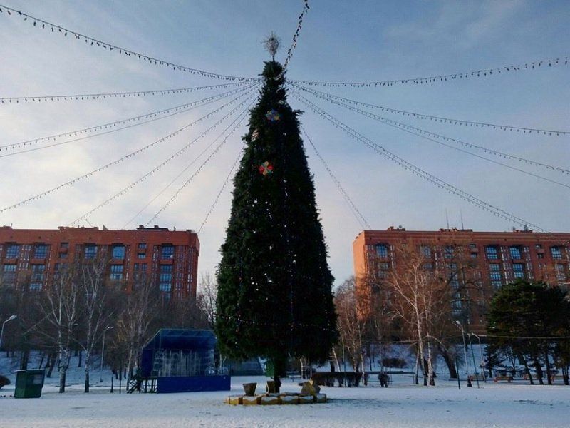 Новогоднее чудо в парке Глобы 3