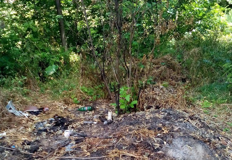 Как депутат Вишневецкий 3 года «облагораживал» парк Кирилловка в Днепре и что там сейчас 4