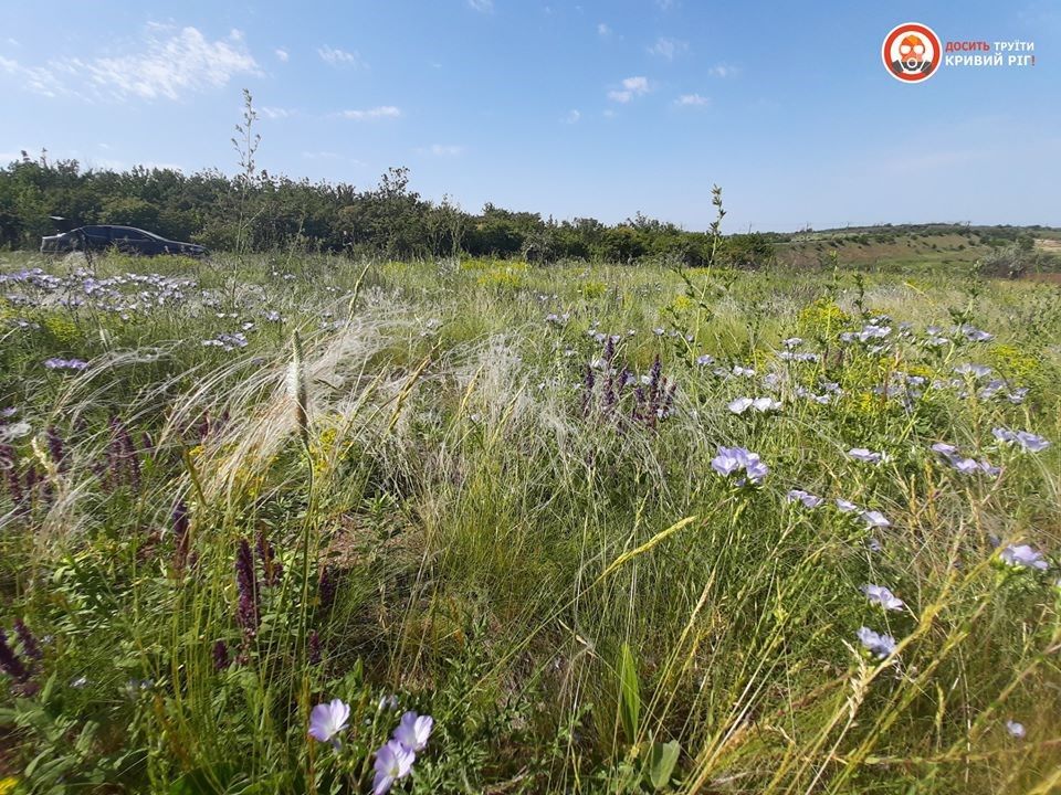 В Кривом Роге Арселор строит новые отвалы: под угрозой здоровье людей, уникальная балка погибнет 1