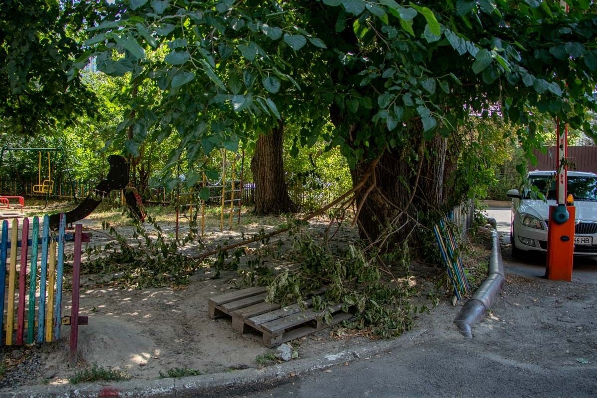 Выборы в Днепре: Артем Павлов и округ невезения 17