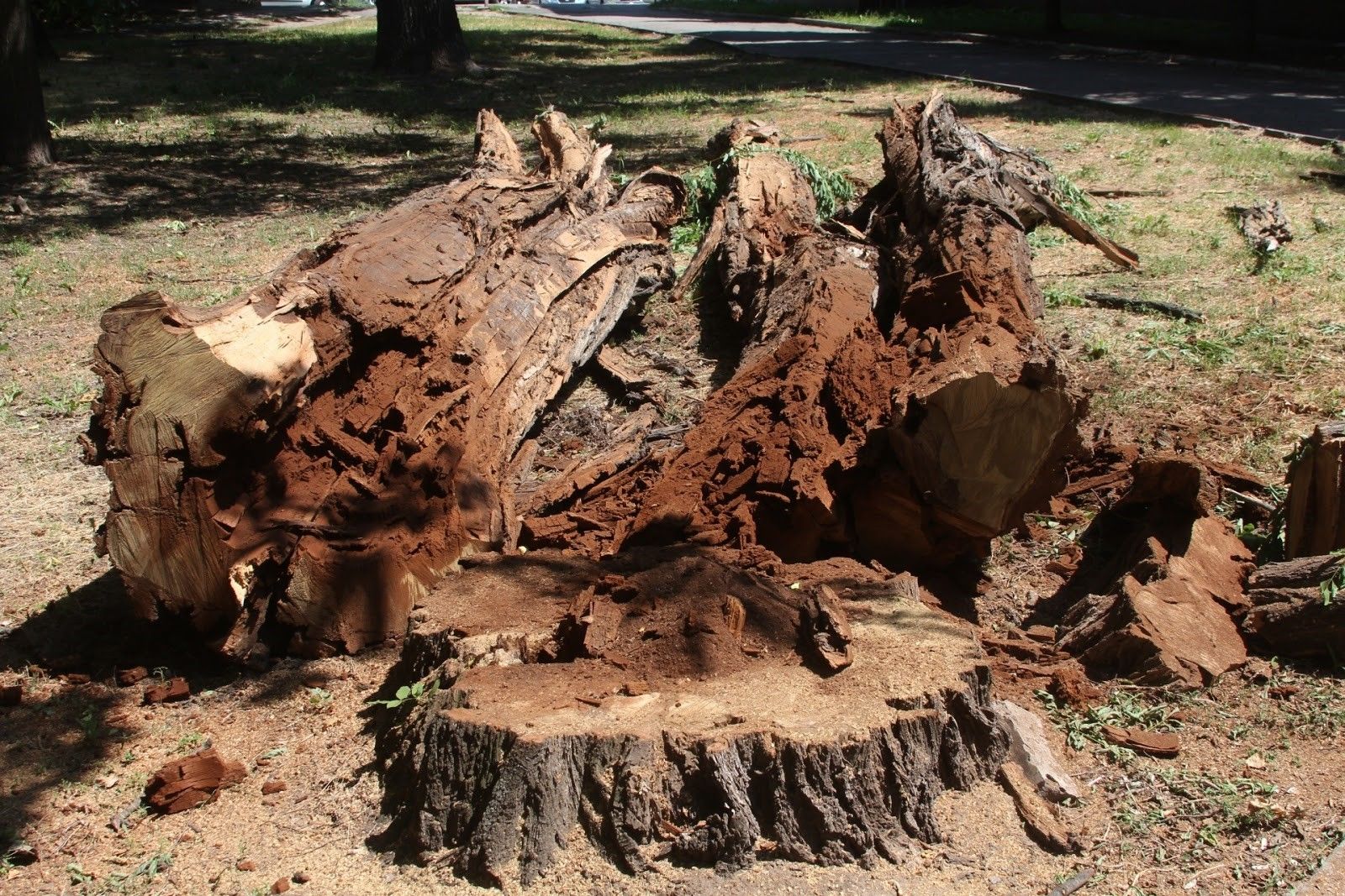 Слуга народа Кирилл Нестеренко обманул жителей Днепра, катаясь на самокате по парку Глобы 7