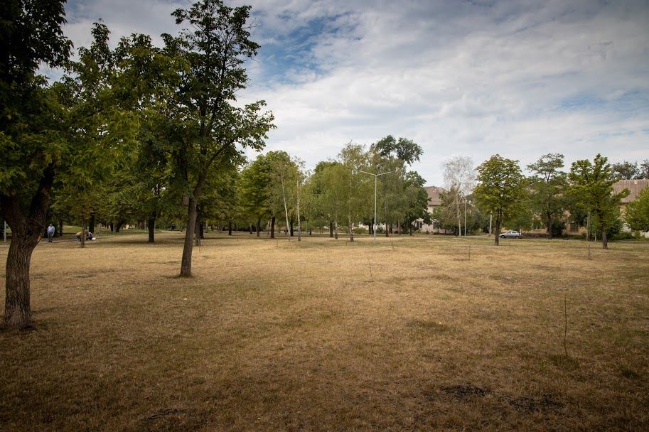 Где в Кривом Роге появится инклюзивный парк за 17 миллионов гривен и кто его построит 3