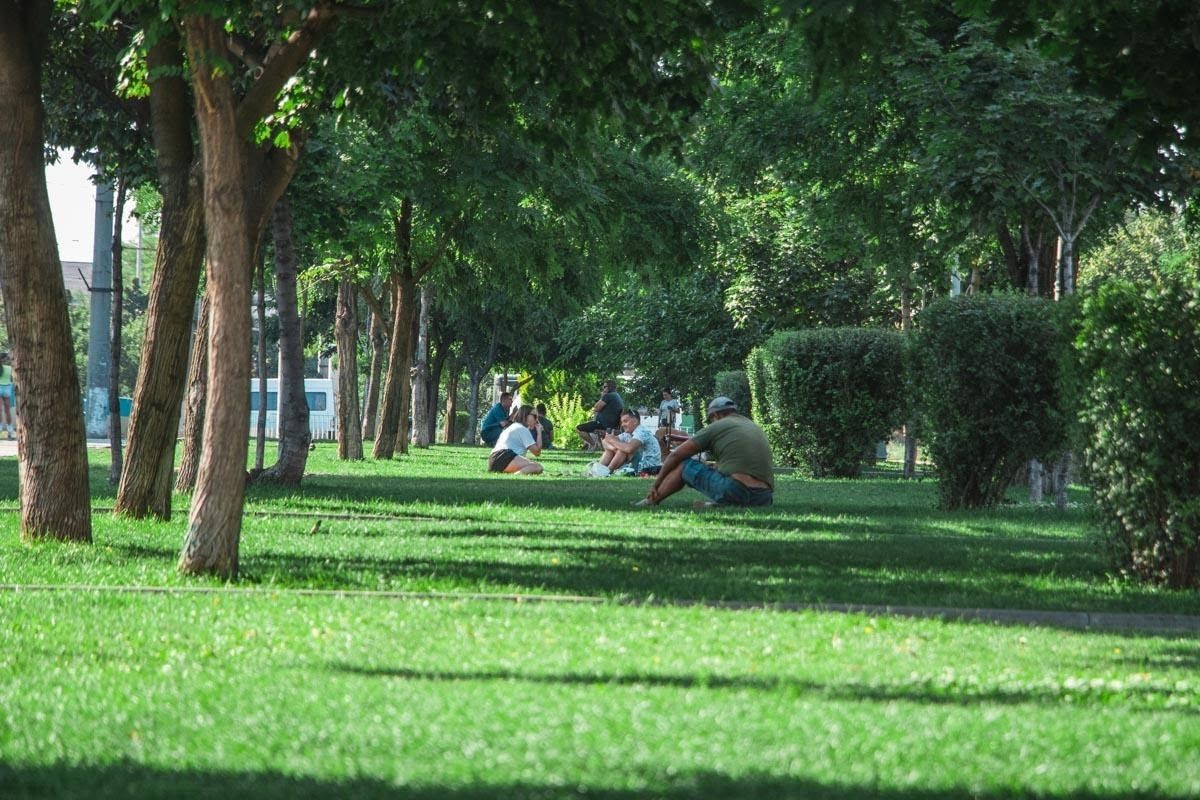 Выборы в Днепре: депутат от Левобережного Максим Кучугура 21