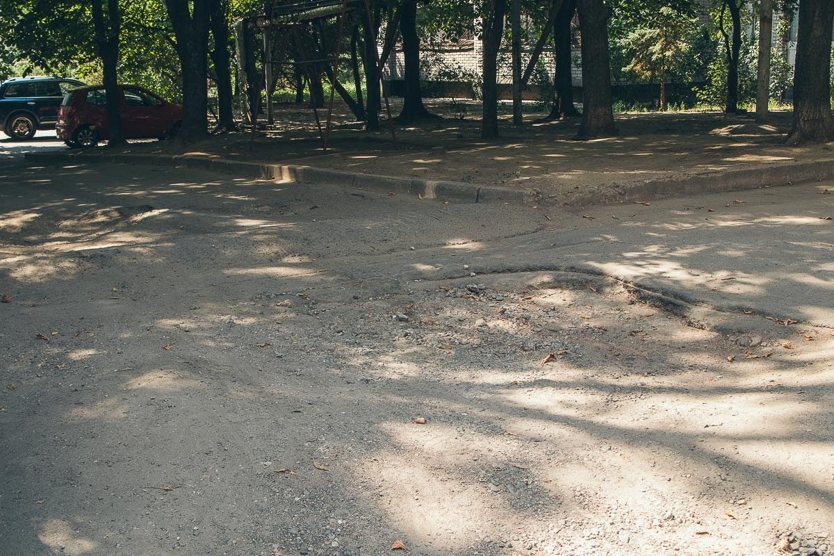 Выборы в Днепре: депутат и землевладелец Игорь Лаппо 11