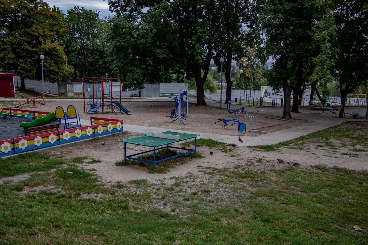 Выборы в Днепре: королева ОСМД Анжелика Пилипенко 11