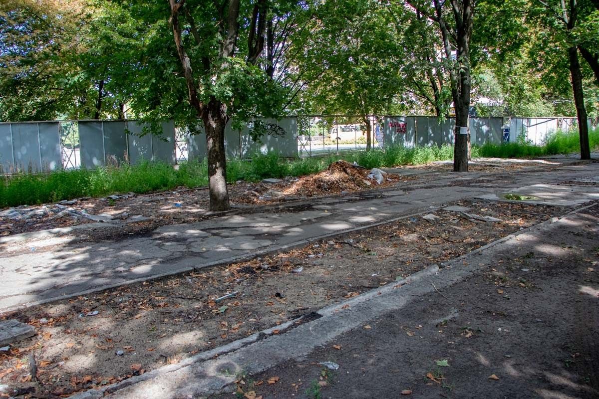 Выборы в Днепре: королева ОСМД Анжелика Пилипенко 19