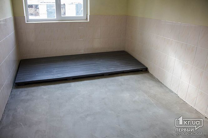 В Кривом Роге хотят еще раз переделать горсоветовский приют для животных: кто наживается на четвероногих 3