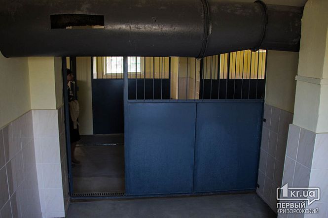 В Кривом Роге хотят еще раз переделать горсоветовский приют для животных: кто наживается на четвероногих 4