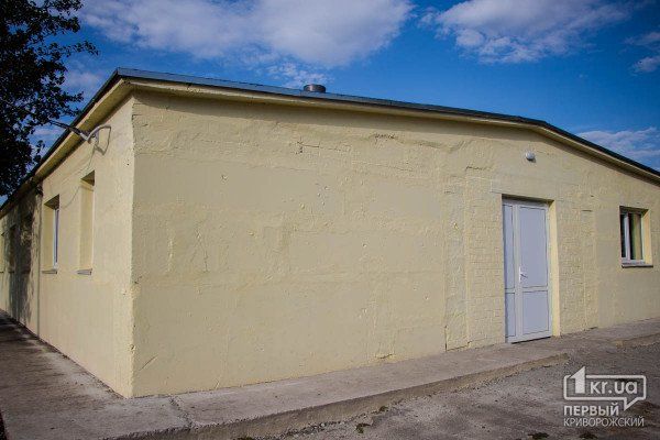 В Кривом Роге хотят еще раз переделать горсоветовский приют для животных: кто наживается на четвероногих 5