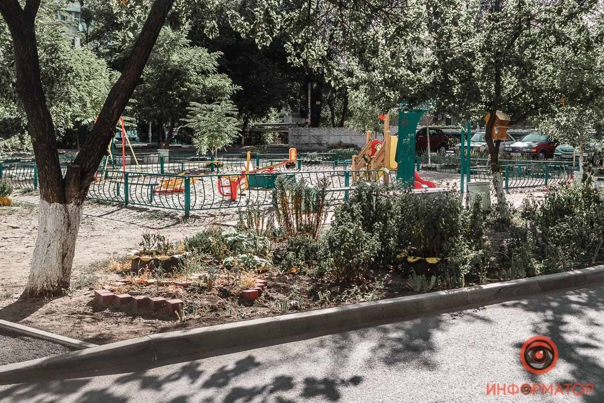 Выборы в Днепре: избиратели попросили Информатор передать привет Станиславу Кушниру 3