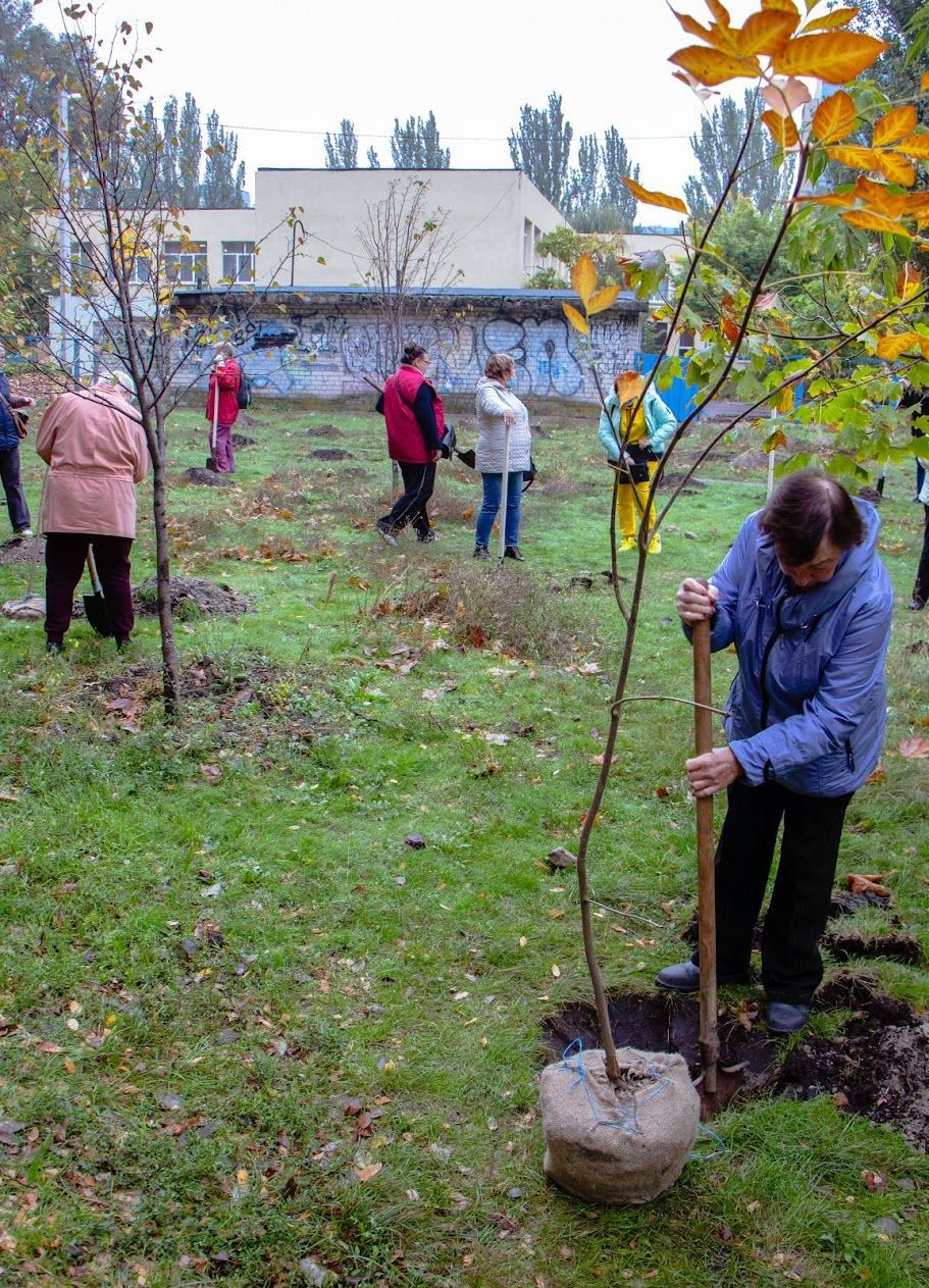 Днепр-цветущий: на жилых массивах Покровский и Красный камень высадили 70 молодых деревьев 1