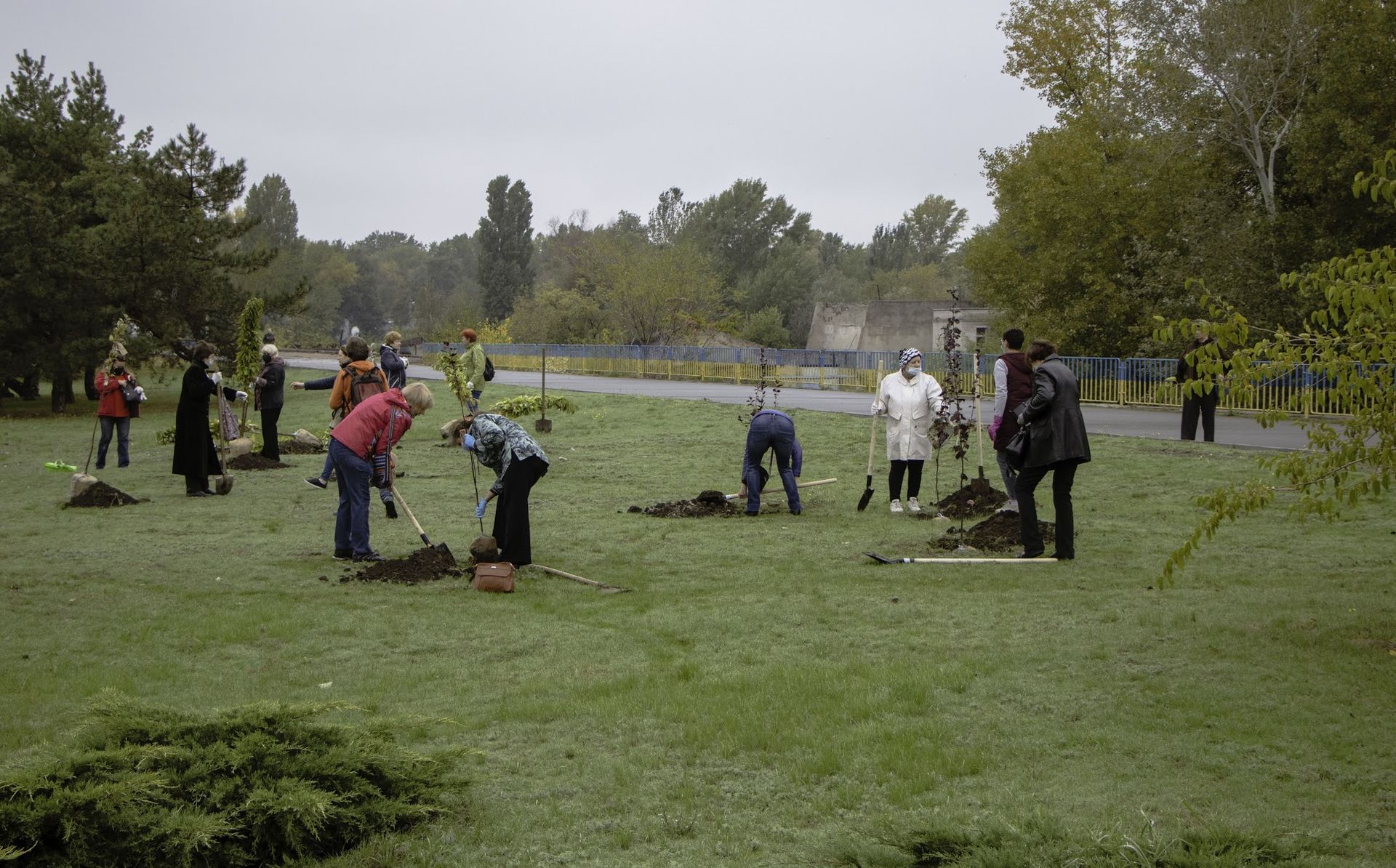 Днепр-цветущий: на жилых массивах Покровский и Красный камень высадили 70 молодых деревьев 4